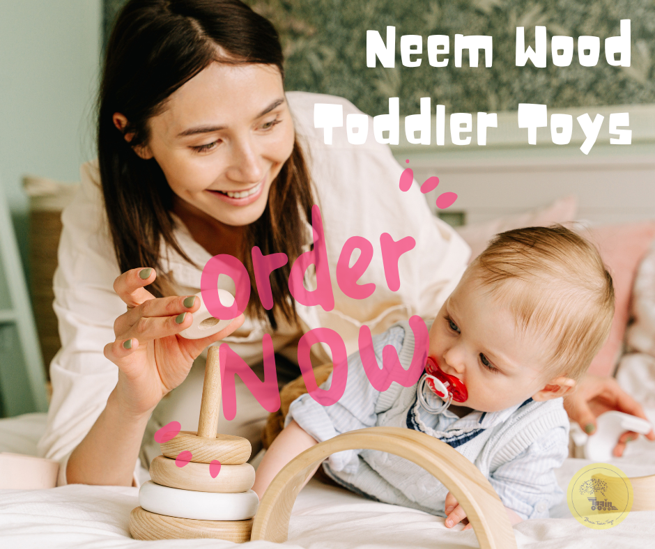 Neem Wood Toddler Toys